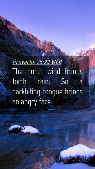 Picture 04 - Proverbs 25:23 WEB Mobile Phone Wallpaper - The north wind brings forth rain: So a backbiting - Mobile Bible Verse Wallpaper