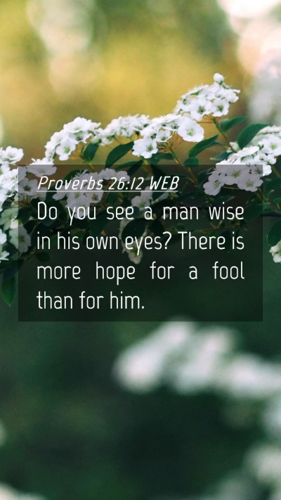 Picture 04 - Proverbs 26:12 WEB Mobile Phone Wallpaper - Do you see a man wise in his own eyes? There is - Mobile Bible Verse Wallpaper