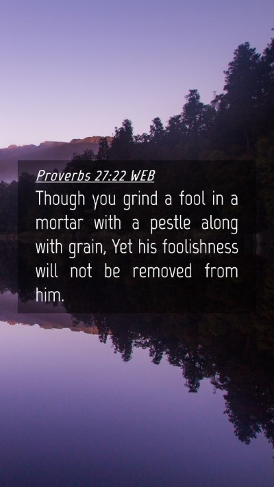 Picture 04 - Proverbs 27:22 WEB Mobile Phone Wallpaper - Though you grind a fool in a mortar with a pestle - Mobile Bible Verse Wallpaper