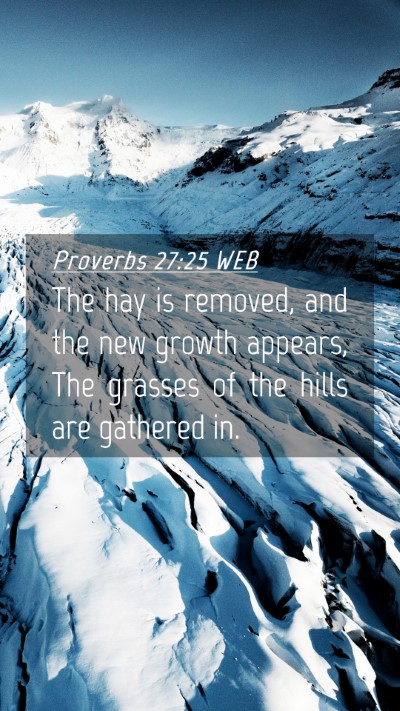 Picture 04 - Proverbs 27:25 WEB Mobile Phone Wallpaper - The hay is removed, and the new growth appears, - Mobile Bible Verse Wallpaper