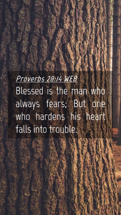 Picture 04 - Proverbs 28:14 WEB Mobile Phone Wallpaper - Blessed is the man who always fears; But one who - Mobile Bible Verse Wallpaper