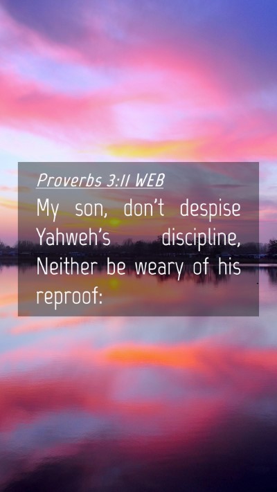 Picture 04 - Proverbs 3:11 WEB Mobile Phone Wallpaper - My son, don't despise Yahweh's discipline, - Mobile Bible Verse Wallpaper