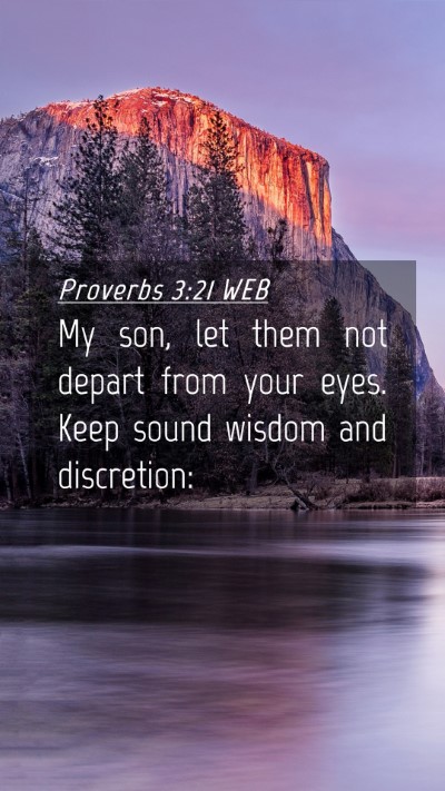 Picture 04 - Proverbs 3:21 WEB Mobile Phone Wallpaper - My son, let them not depart from your eyes. Keep - Mobile Bible Verse Wallpaper