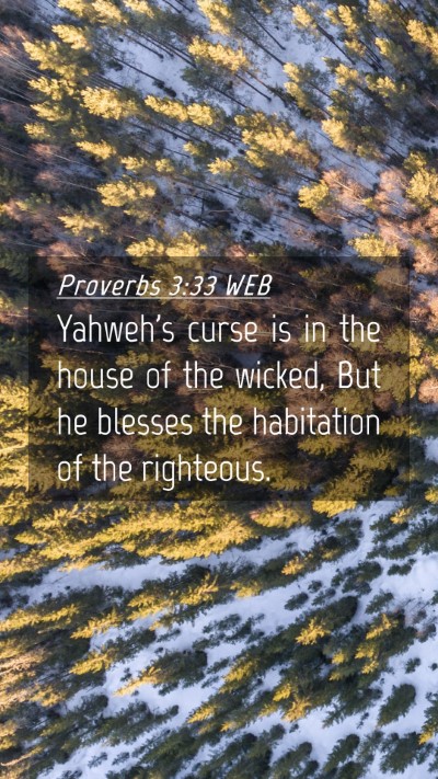 Picture 04 - Proverbs 3:33 WEB Mobile Phone Wallpaper - Yahweh's curse is in the house of the wicked, But - Mobile Bible Verse Wallpaper