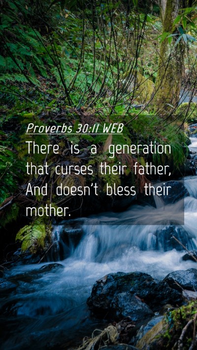 Picture 04 - Proverbs 30:11 WEB Mobile Phone Wallpaper - There is a generation that curses their father, - Mobile Bible Verse Wallpaper