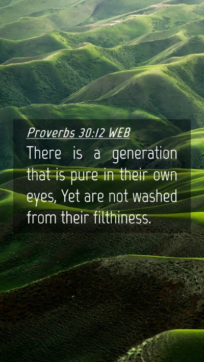 Picture 04 - Proverbs 30:12 WEB Mobile Phone Wallpaper - There is a generation that is pure in their own - Mobile Bible Verse Wallpaper