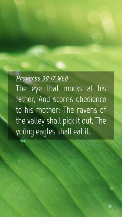 Picture 04 - Proverbs 30:17 WEB Mobile Phone Wallpaper - The eye that mocks at his father, And scorns - Mobile Bible Verse Wallpaper