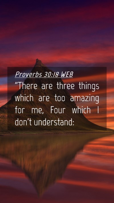 Picture 04 - Proverbs 30:18 WEB Mobile Phone Wallpaper - 