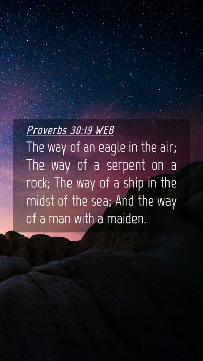 Picture 04 - Proverbs 30:19 WEB Mobile Phone Wallpaper - The way of an eagle in the air; The way of a - Mobile Bible Verse Wallpaper