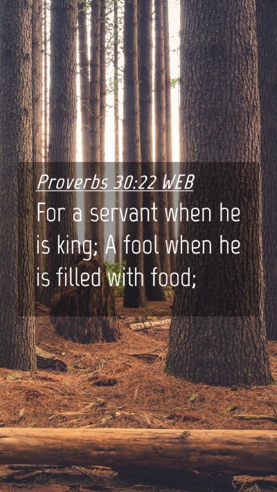 Picture 04 - Proverbs 30:22 WEB Mobile Phone Wallpaper - For a servant when he is king; A fool when he is - Mobile Bible Verse Wallpaper