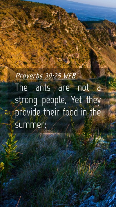 Picture 04 - Proverbs 30:25 WEB Mobile Phone Wallpaper - The ants are not a strong people, Yet they - Mobile Bible Verse Wallpaper