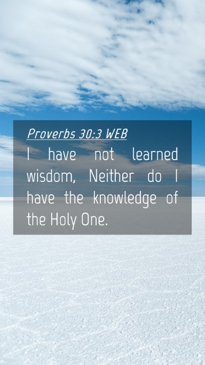 Picture 04 - Proverbs 30:3 WEB Mobile Phone Wallpaper - I have not learned wisdom, Neither do I have the - Mobile Bible Verse Wallpaper