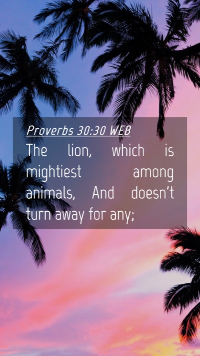 Picture 04 - Proverbs 30:30 WEB Mobile Phone Wallpaper - The lion, which is mightiest among animals, And - Mobile Bible Verse Wallpaper