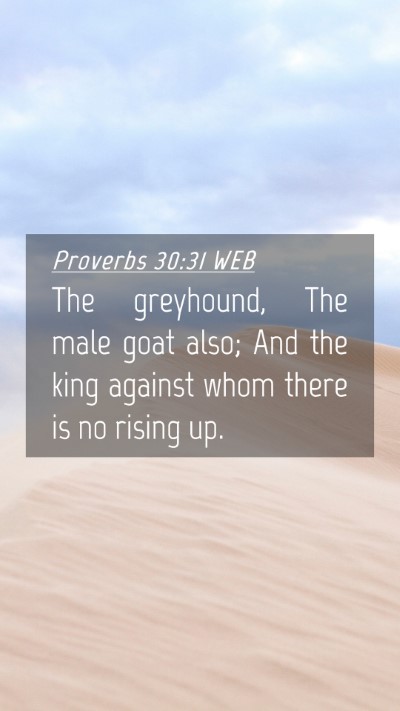 Picture 04 - Proverbs 30:31 WEB Mobile Phone Wallpaper - The greyhound, The male goat also; And the king - Mobile Bible Verse Wallpaper
