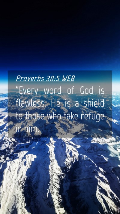 Picture 04 - Proverbs 30:5 WEB Mobile Phone Wallpaper - 