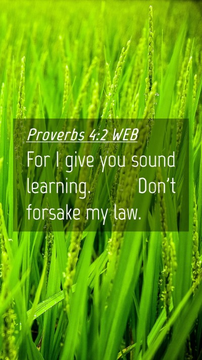 Picture 04 - Proverbs 4:2 WEB Mobile Phone Wallpaper - For I give you sound learning. Don't forsake my - Mobile Bible Verse Wallpaper