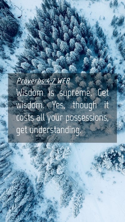 Picture 04 - Proverbs 4:7 WEB Mobile Phone Wallpaper - Wisdom is supreme. Get wisdom. Yes, though it - Mobile Bible Verse Wallpaper