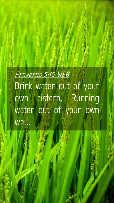 Picture 04 - Proverbs 5:15 WEB Mobile Phone Wallpaper - Drink water out of your own cistern, Running - Mobile Bible Verse Wallpaper