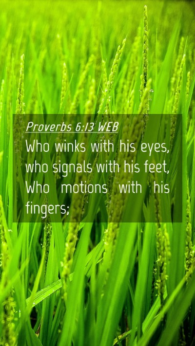 Picture 04 - Proverbs 6:13 WEB Mobile Phone Wallpaper - Who winks with his eyes, who signals with his - Mobile Bible Verse Wallpaper