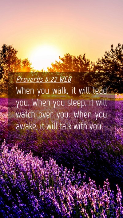 Picture 04 - Proverbs 6:22 WEB Mobile Phone Wallpaper - When you walk, it will lead you. When you sleep, - Mobile Bible Verse Wallpaper