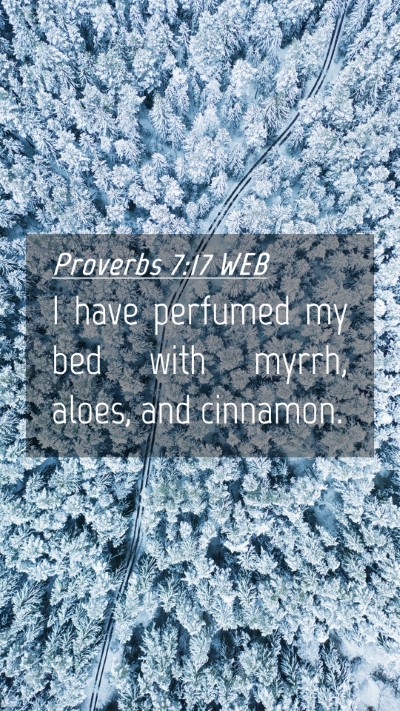 Picture 04 - Proverbs 7:17 WEB Mobile Phone Wallpaper - I have perfumed my bed with myrrh, aloes, and - Mobile Bible Verse Wallpaper