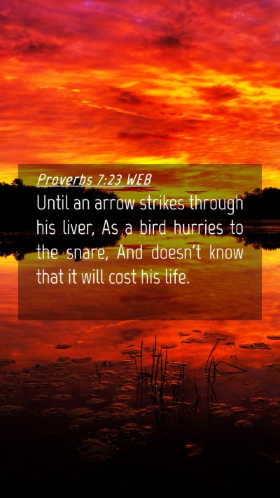 Picture 04 - Proverbs 7:23 WEB Mobile Phone Wallpaper - Until an arrow strikes through his liver, As a - Mobile Bible Verse Wallpaper