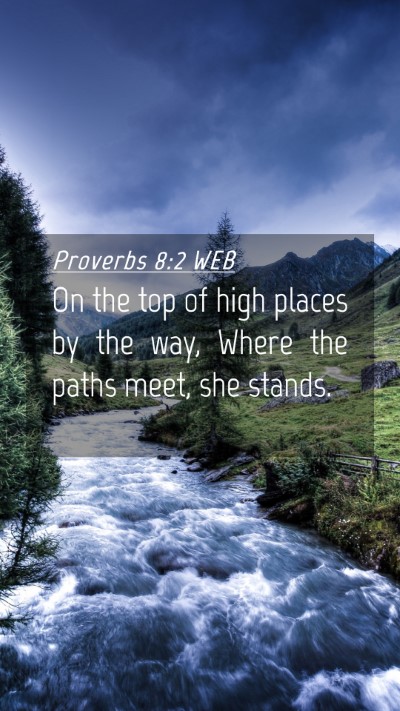Picture 04 - Proverbs 8:2 WEB Mobile Phone Wallpaper - On the top of high places by the way, Where the - Mobile Bible Verse Wallpaper