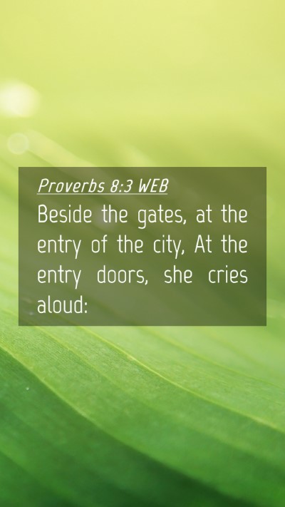 Picture 04 - Proverbs 8:3 WEB Mobile Phone Wallpaper - Beside the gates, at the entry of the city, At - Mobile Bible Verse Wallpaper