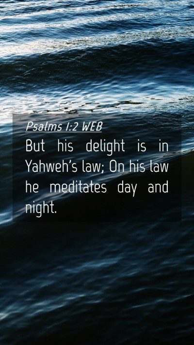 Picture 04 - Psalms 1:2 WEB Mobile Phone Wallpaper - But his delight is in Yahweh's law; On his law he - Mobile Bible Verse Wallpaper