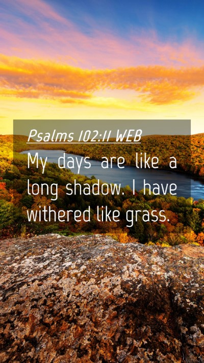 Picture 04 - Psalms 102:11 WEB Mobile Phone Wallpaper - My days are like a long shadow. I have withered - Mobile Bible Verse Wallpaper