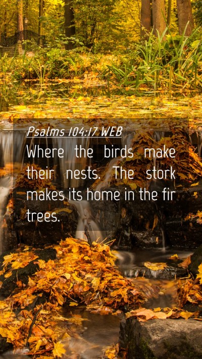 Picture 04 - Psalms 104:17 WEB Mobile Phone Wallpaper - Where the birds make their nests. The stork makes - Mobile Bible Verse Wallpaper