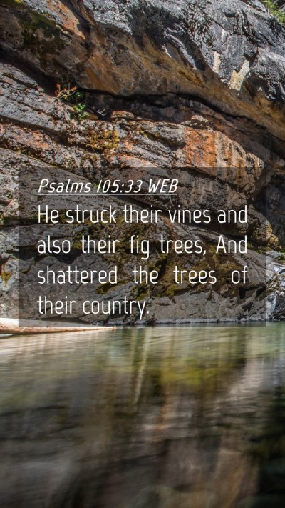 Picture 04 - Psalms 105:33 WEB Mobile Phone Wallpaper - He struck their vines and also their fig trees, - Mobile Bible Verse Wallpaper