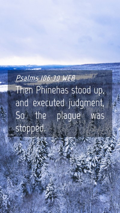 Picture 04 - Psalms 106:30 WEB Mobile Phone Wallpaper - Then Phinehas stood up, and executed judgment, So - Mobile Bible Verse Wallpaper