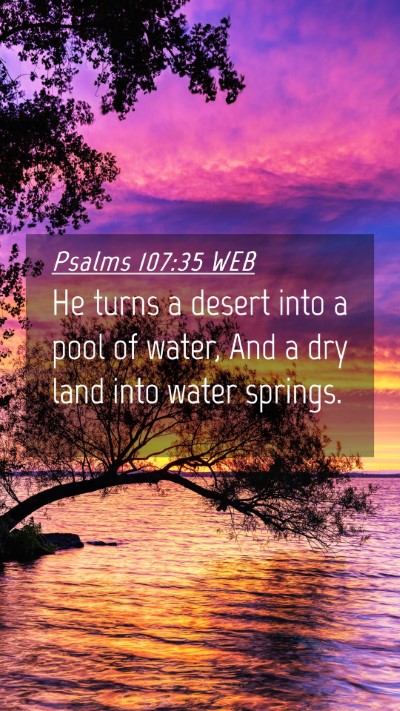 Picture 04 - Psalms 107:35 WEB Mobile Phone Wallpaper - He turns a desert into a pool of water, And a dry - Mobile Bible Verse Wallpaper