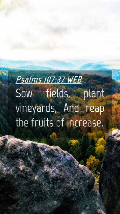 Picture 04 - Psalms 107:37 WEB Mobile Phone Wallpaper - Sow fields, plant vineyards, And reap the fruits - Mobile Bible Verse Wallpaper