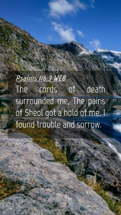 Picture 04 - Psalms 116:3 WEB Mobile Phone Wallpaper - The cords of death surrounded me, The pains of - Mobile Bible Verse Wallpaper