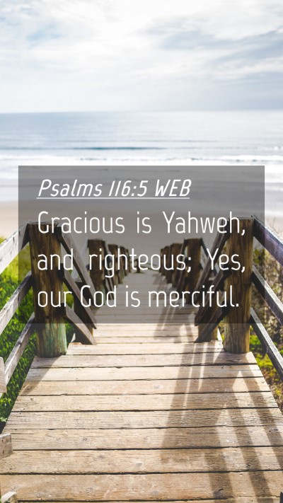 Picture 04 - Psalms 116:5 WEB Mobile Phone Wallpaper - Gracious is Yahweh, and righteous; Yes, our God - Mobile Bible Verse Wallpaper