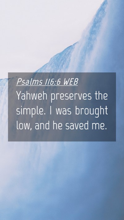 Picture 04 - Psalms 116:6 WEB Mobile Phone Wallpaper - Yahweh preserves the simple. I was brought low, - Mobile Bible Verse Wallpaper