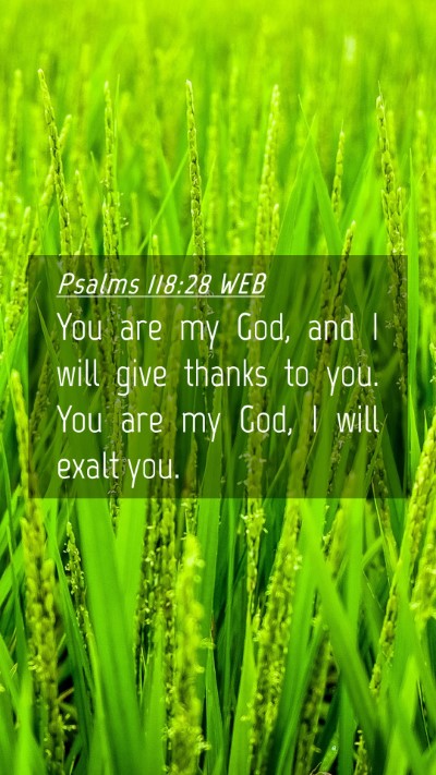Picture 04 - Psalms 118:28 WEB Mobile Phone Wallpaper - You are my God, and I will give thanks to you. - Mobile Bible Verse Wallpaper