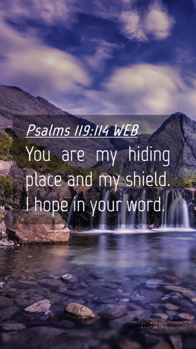 Picture 04 - Psalms 119:114 WEB Mobile Phone Wallpaper - You are my hiding place and my shield. I hope in - Mobile Bible Verse Wallpaper