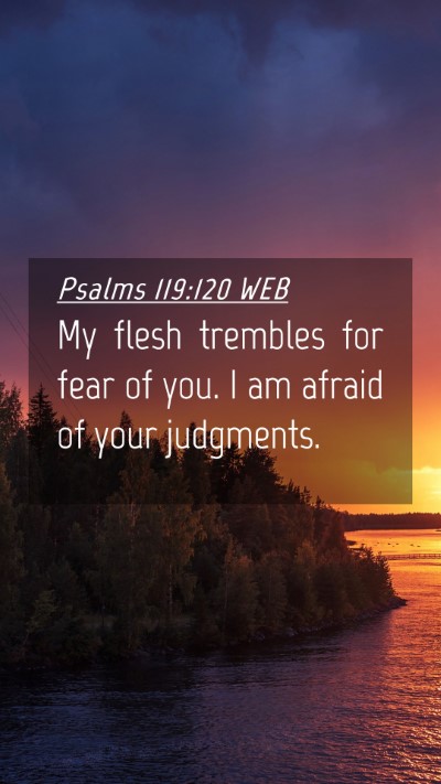 Picture 04 - Psalms 119:120 WEB Mobile Phone Wallpaper - My flesh trembles for fear of you. I am afraid of - Mobile Bible Verse Wallpaper