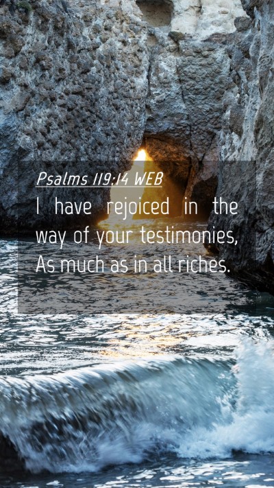 Picture 04 - Psalms 119:14 WEB Mobile Phone Wallpaper - I have rejoiced in the way of your testimonies, - Mobile Bible Verse Wallpaper