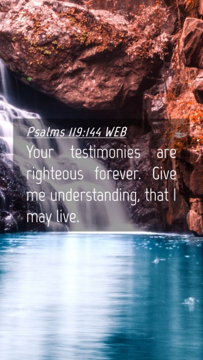 Picture 04 - Psalms 119:144 WEB Mobile Phone Wallpaper - Your testimonies are righteous forever. Give me - Mobile Bible Verse Wallpaper