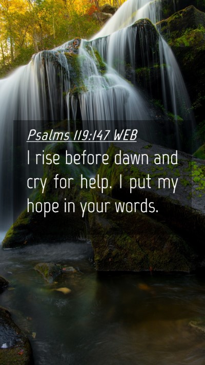 Picture 04 - Psalms 119:147 WEB Mobile Phone Wallpaper - I rise before dawn and cry for help. I put my - Mobile Bible Verse Wallpaper