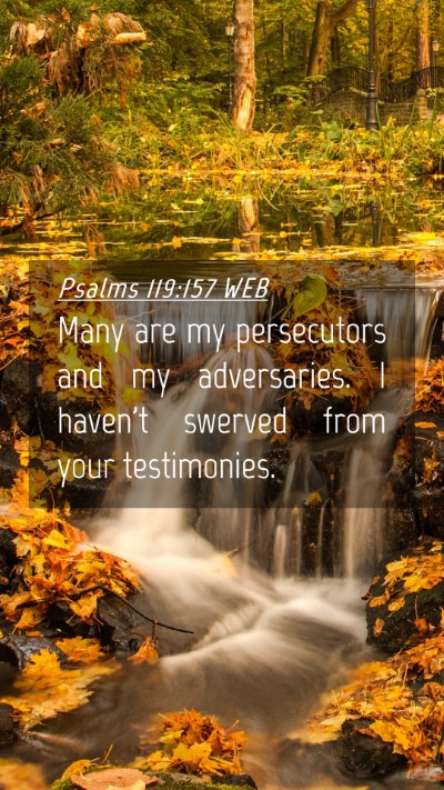 Picture 04 - Psalms 119:157 WEB Mobile Phone Wallpaper - Many are my persecutors and my adversaries. I - Mobile Bible Verse Wallpaper