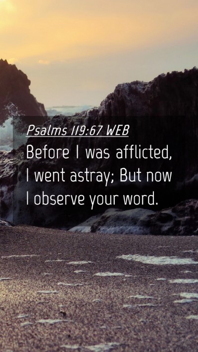 Picture 04 - Psalms 119:67 WEB Mobile Phone Wallpaper - Before I was afflicted, I went astray; But now I - Mobile Bible Verse Wallpaper