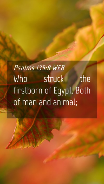 Picture 04 - Psalms 135:8 WEB Mobile Phone Wallpaper - Who struck the firstborn of Egypt, Both of man - Mobile Bible Verse Wallpaper