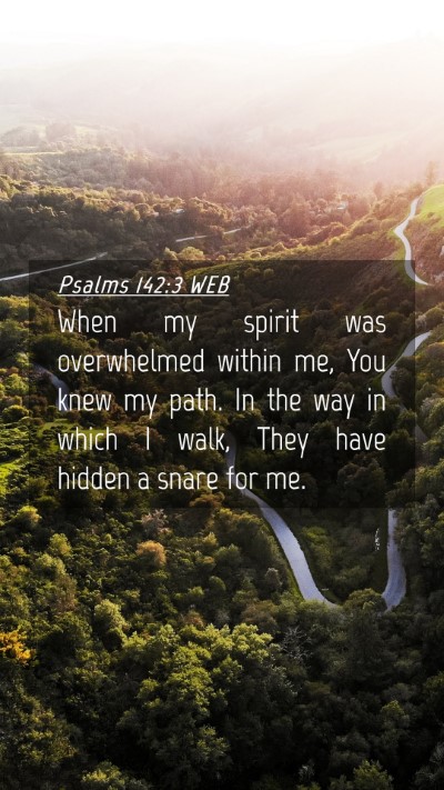 Picture 04 - Psalms 142:3 WEB Mobile Phone Wallpaper - When my spirit was overwhelmed within me, You - Mobile Bible Verse Wallpaper