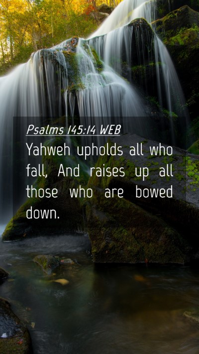 Picture 04 - Psalms 145:14 WEB Mobile Phone Wallpaper - Yahweh upholds all who fall, And raises up all - Mobile Bible Verse Wallpaper