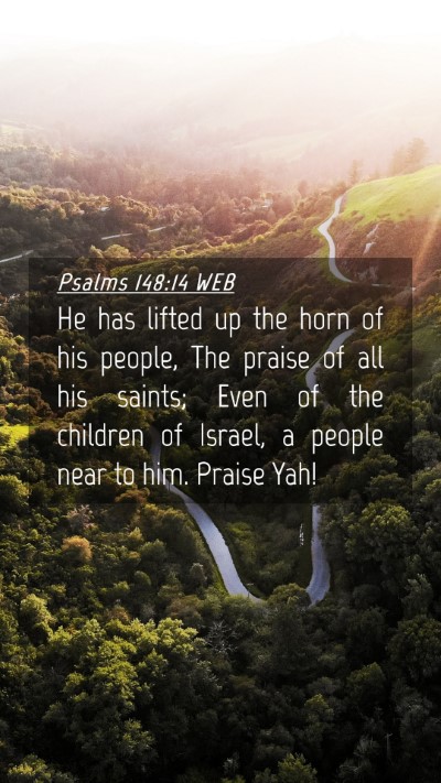Picture 04 - Psalms 148:14 WEB Mobile Phone Wallpaper - He has lifted up the horn of his people, The - Mobile Bible Verse Wallpaper